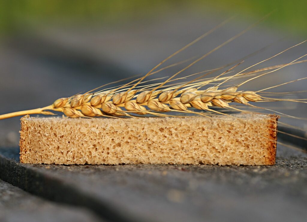 bread, wheat, spikes